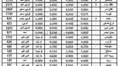 el3rod.com00001-970