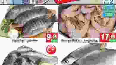 el3rod.com00007-278