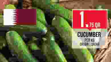 el3rod.com00015-274