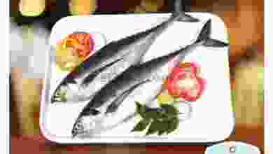 el3rod.com00016-275