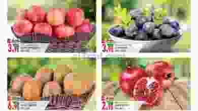 el3rod.com00001-1085
