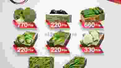 el3rod.com00001-1092