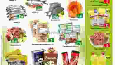 el3rod.com00001-1166