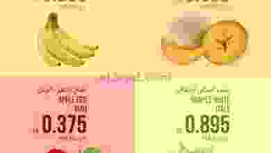 el3rod.com00001-1197