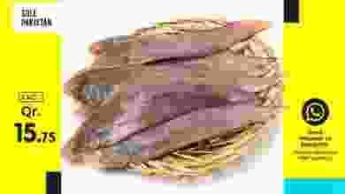 el3rod.com00001-1362
