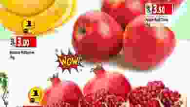 el3rod.com00001-1365