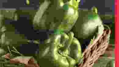 el3rod.com00001-1398