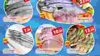 el3rod.com00001-1416