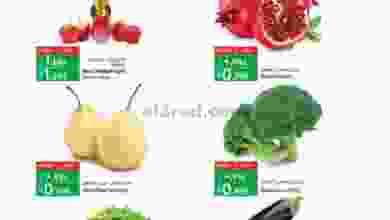 el3rod.com00001-282