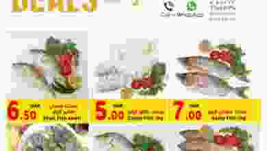 el3rod.com00001-29