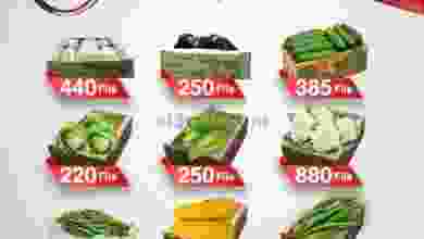el3rod.com00001-302