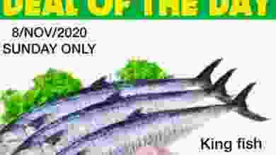 el3rod.com00001-337