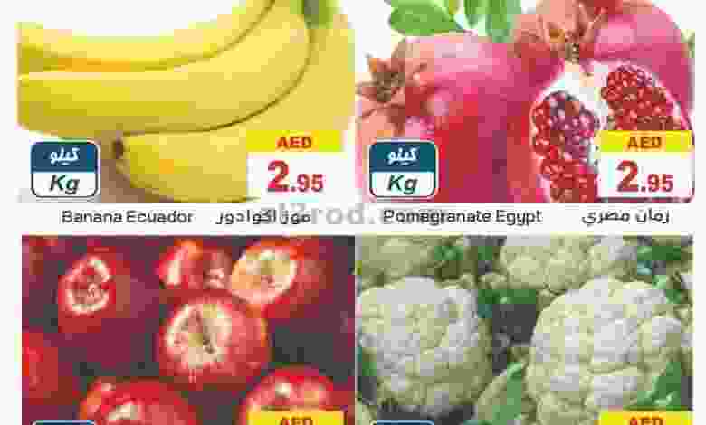 el3rod.com00001-366