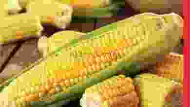 el3rod.com00001-401