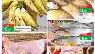 el3rod.com00001-435