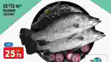el3rod.com00001-468