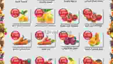 el3rod.com00001-481
