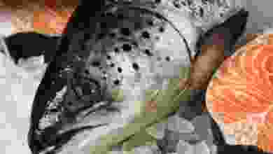 el3rod.com00001-66