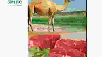 عروض سمايل هايبر عمان حتى 14-11-2020 لحم جمل el3rod.com00001-667