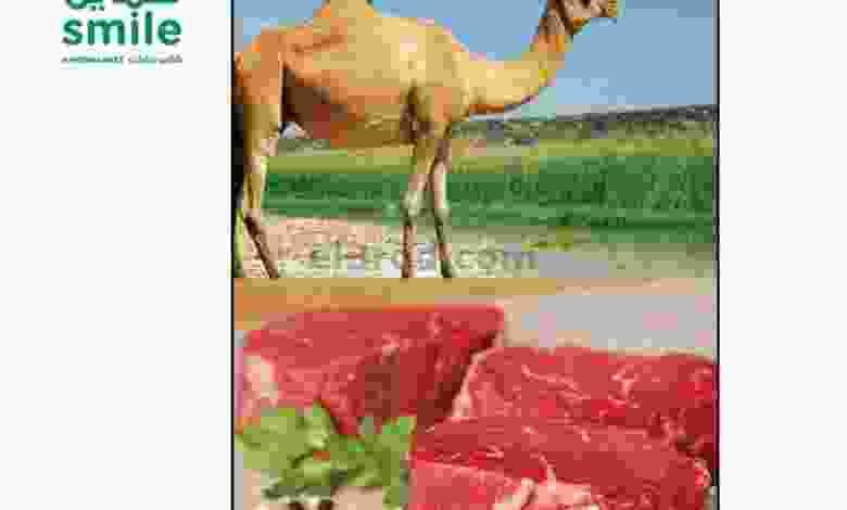 el3rod.com00001-667