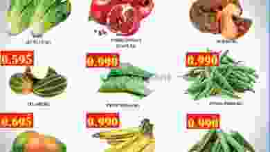 el3rod.com00001-738