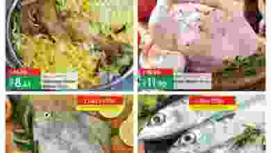 el3rod.com00001-774
