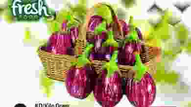 el3rod.com00001-850
