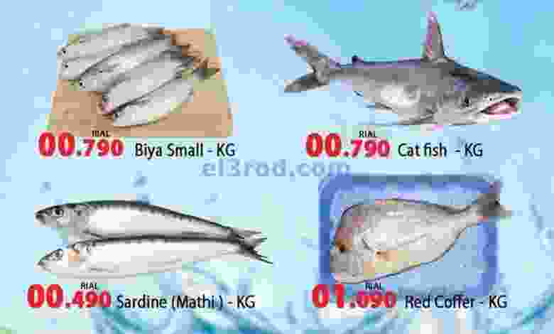 el3rod.com00002-221