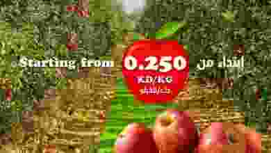 el3rod.com00003-818