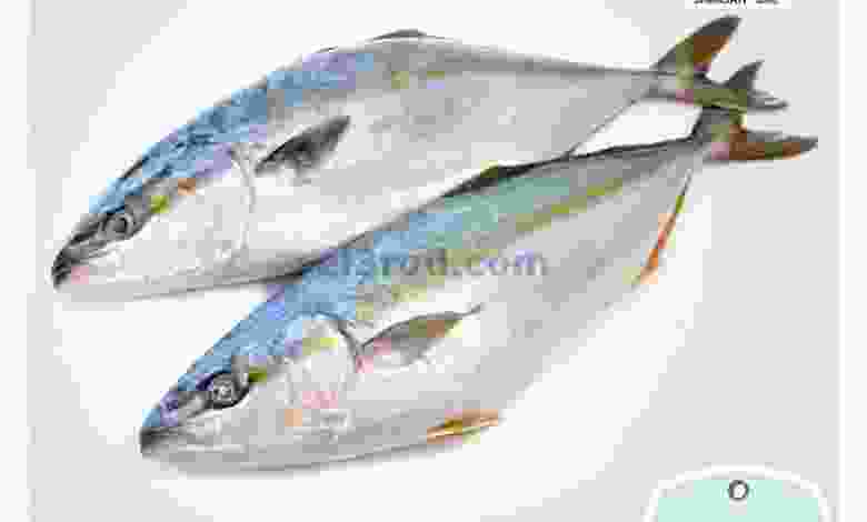 عروض سفارى الامارات الاربعاء 4-11-2020 el3rod.com00007-67