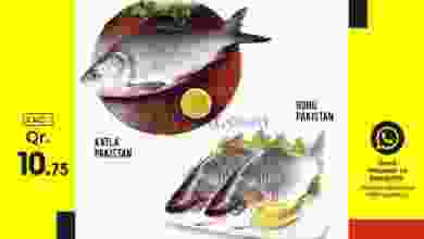 el3rod.com00001-1