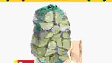 el3rod.com00001-1030