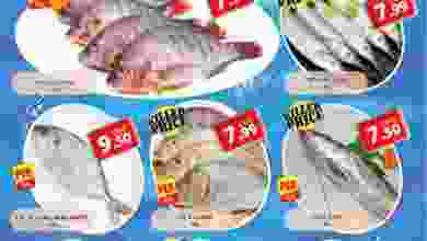 el3rod.com00001-1097