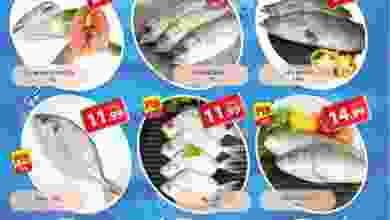el3rod.com00001-1105