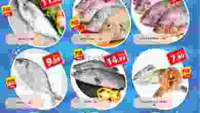 el3rod.com00001-1109