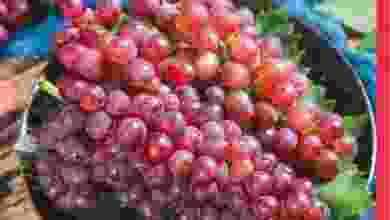 el3rod.com00001-1146
