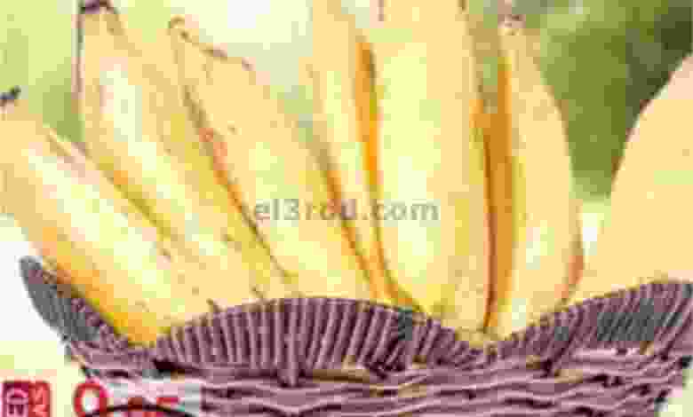 el3rod.com00001-1152