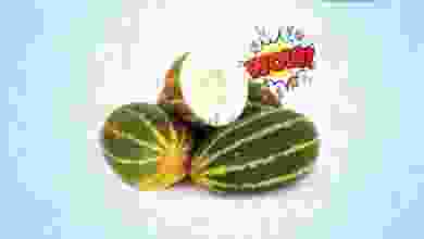 el3rod.com00001-1169