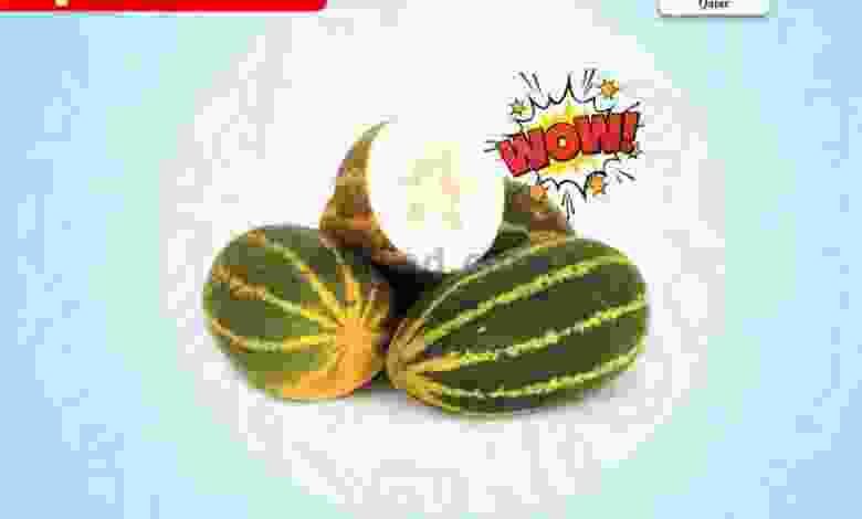 el3rod.com00001-1169