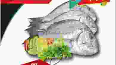 el3rod.com00001-1282