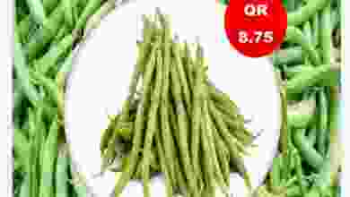el3rod.com00001-1309