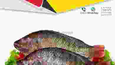 el3rod.com00001-131