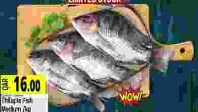 el3rod.com00001-1310
