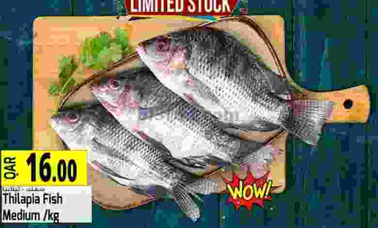 el3rod.com00001-1310