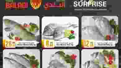 el3rod.com00001-1312