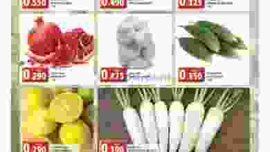 el3rod.com00001-1365