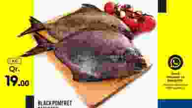 el3rod.com00001-146