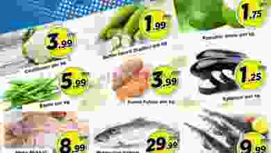 el3rod.com00001-172