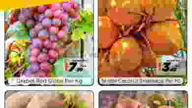 el3rod.com00001-173