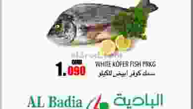 el3rod.com00001-235